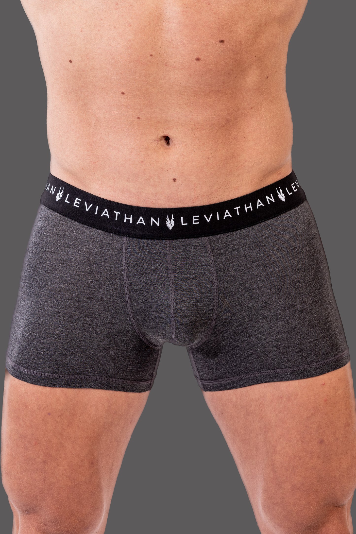 Leviathan Boxer - Grey