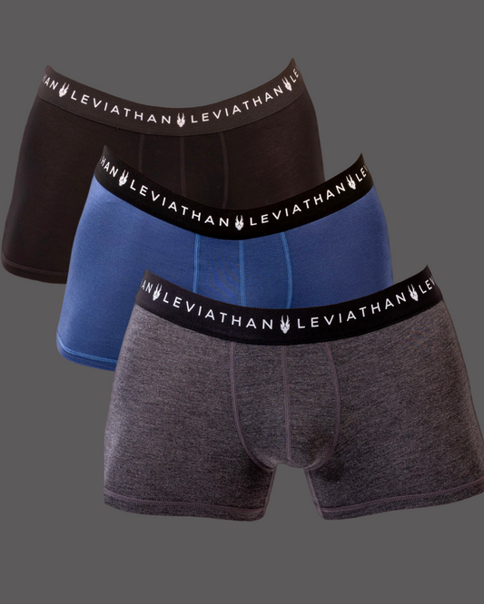 Leviathan Boxer - Combo X3