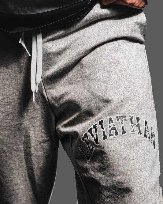 Leviathan - sweatpants - Grey