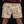 Leviathan | Spartan Camo Shorts